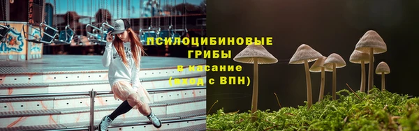 дурь Балахна