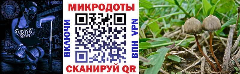 Псилоцибиновые грибы MAGIC MUSHROOMS где можно купить Валуйки